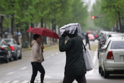 '곡우' 전국 곳곳 비