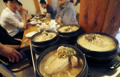 '오늘은 초복, 삼계탕 먹기 좋은 날'