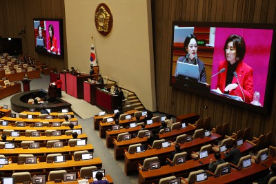 국회 본회의, 정치 분야 대정부질문
